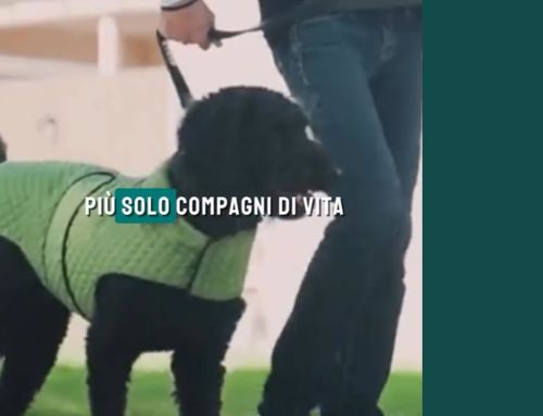 Per la prima volta, il nostro ordinamento riconosce agli animali la qualifica di esseri senzienti